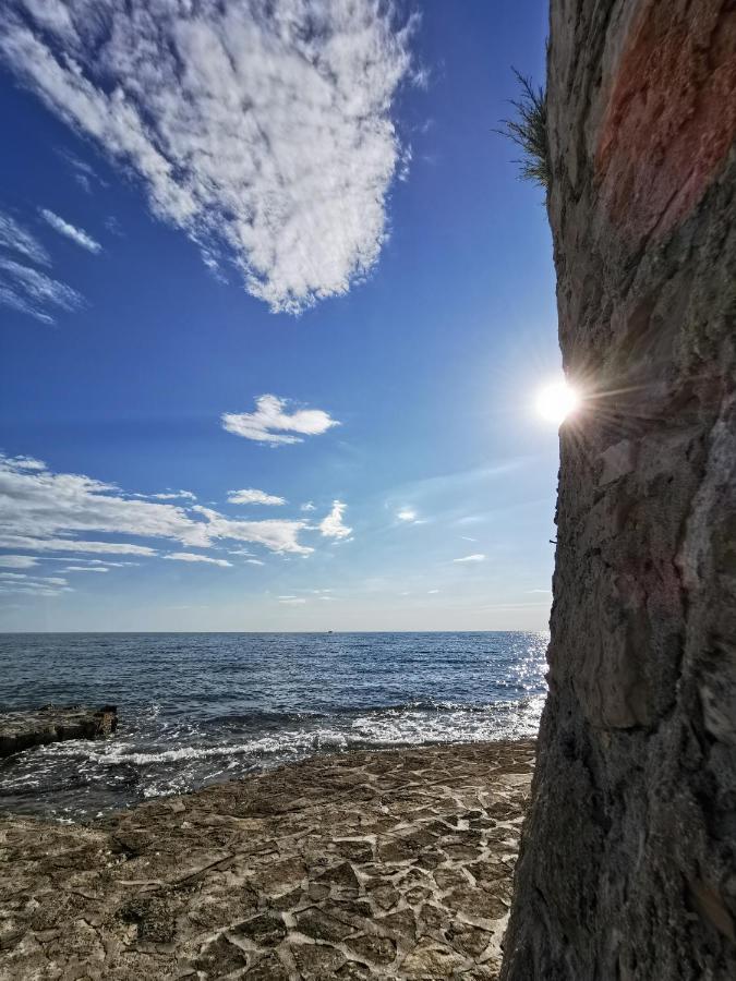 Lara Deluxe Superior 5 Star Apartment, Your Piece Of Heaven By The Sea & Park Novigrad Istria Exterior foto